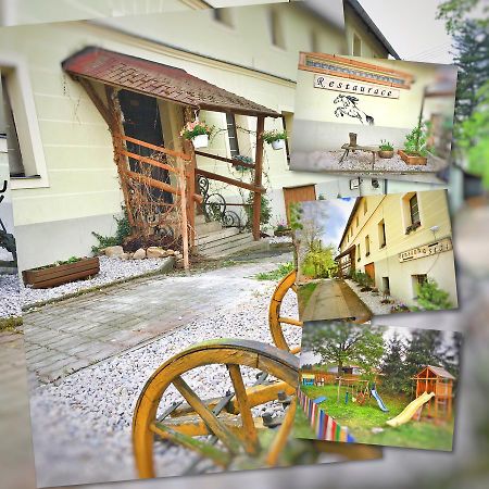 Penzion Pegas Depoltovice Nová Role Zewnętrze zdjęcie