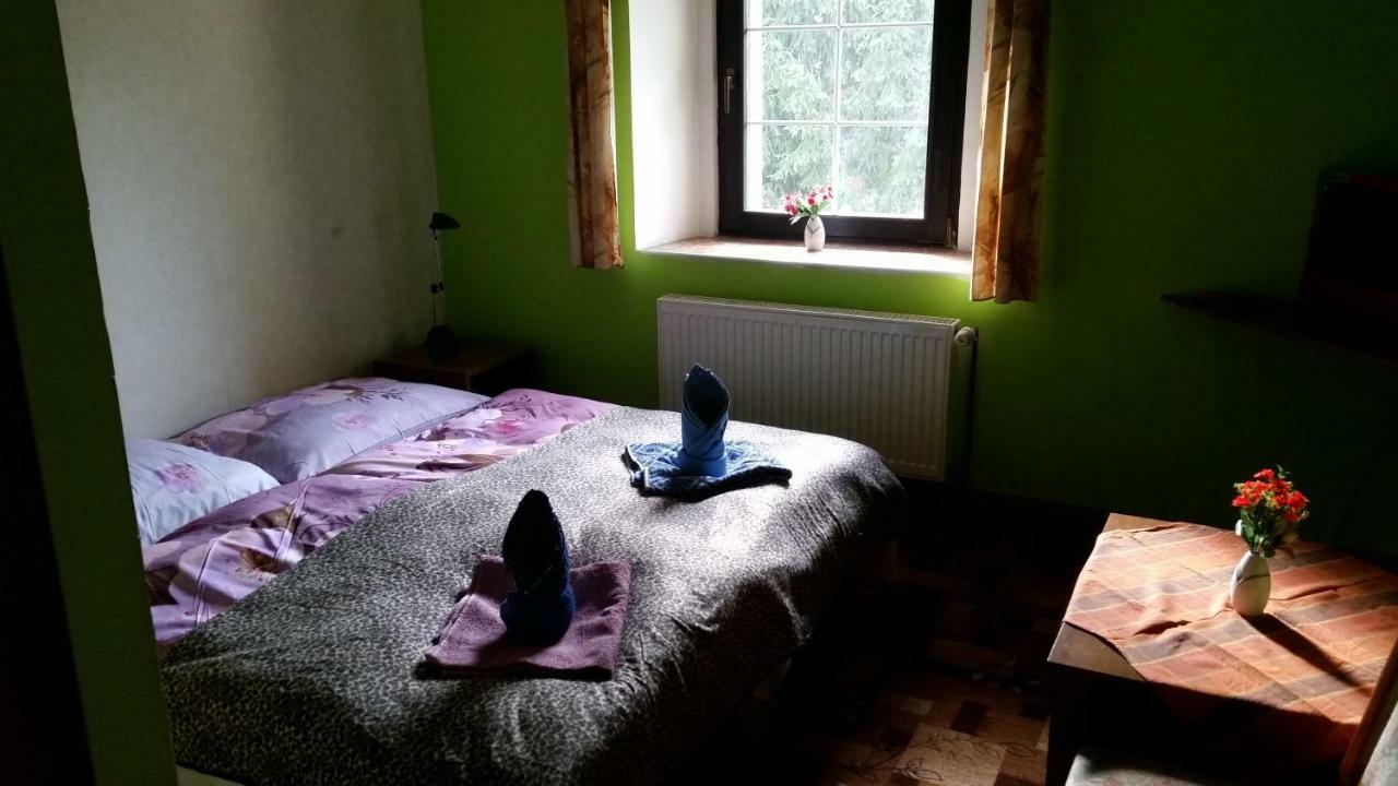 Penzion Pegas Depoltovice Nová Role Zewnętrze zdjęcie