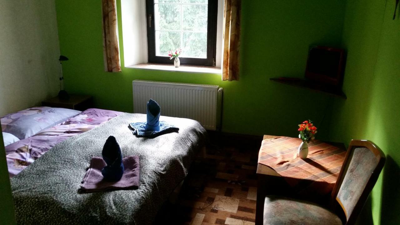 Penzion Pegas Depoltovice Nová Role Zewnętrze zdjęcie