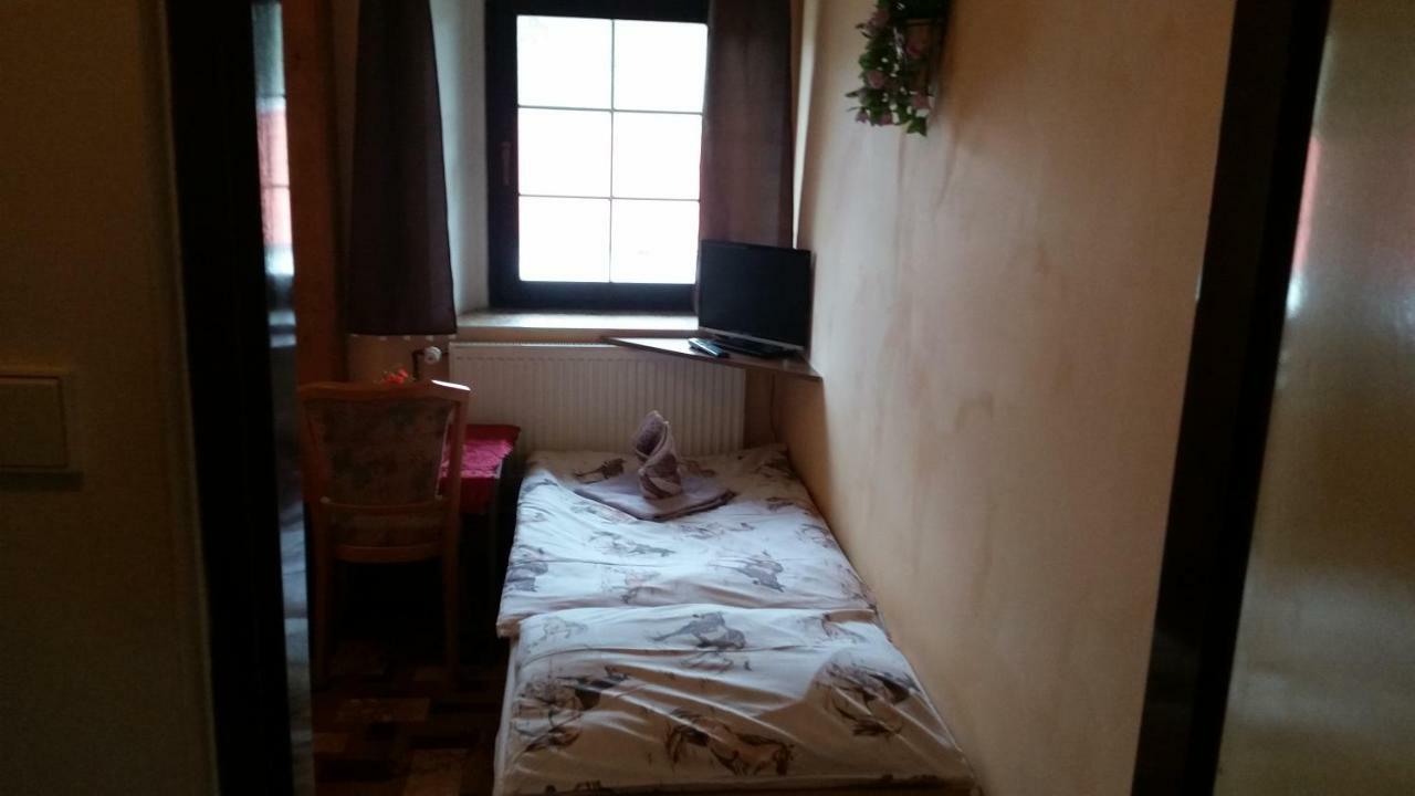 Penzion Pegas Depoltovice Nová Role Zewnętrze zdjęcie