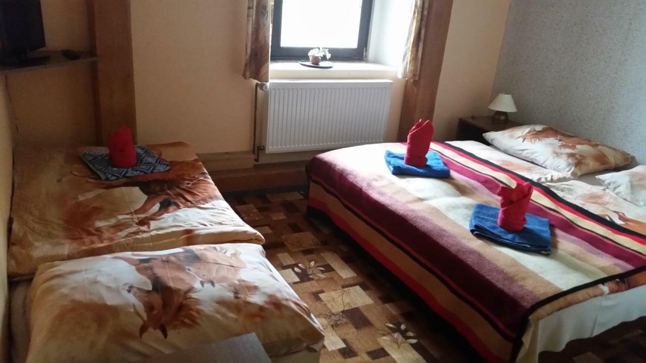 Penzion Pegas Depoltovice Nová Role Zewnętrze zdjęcie