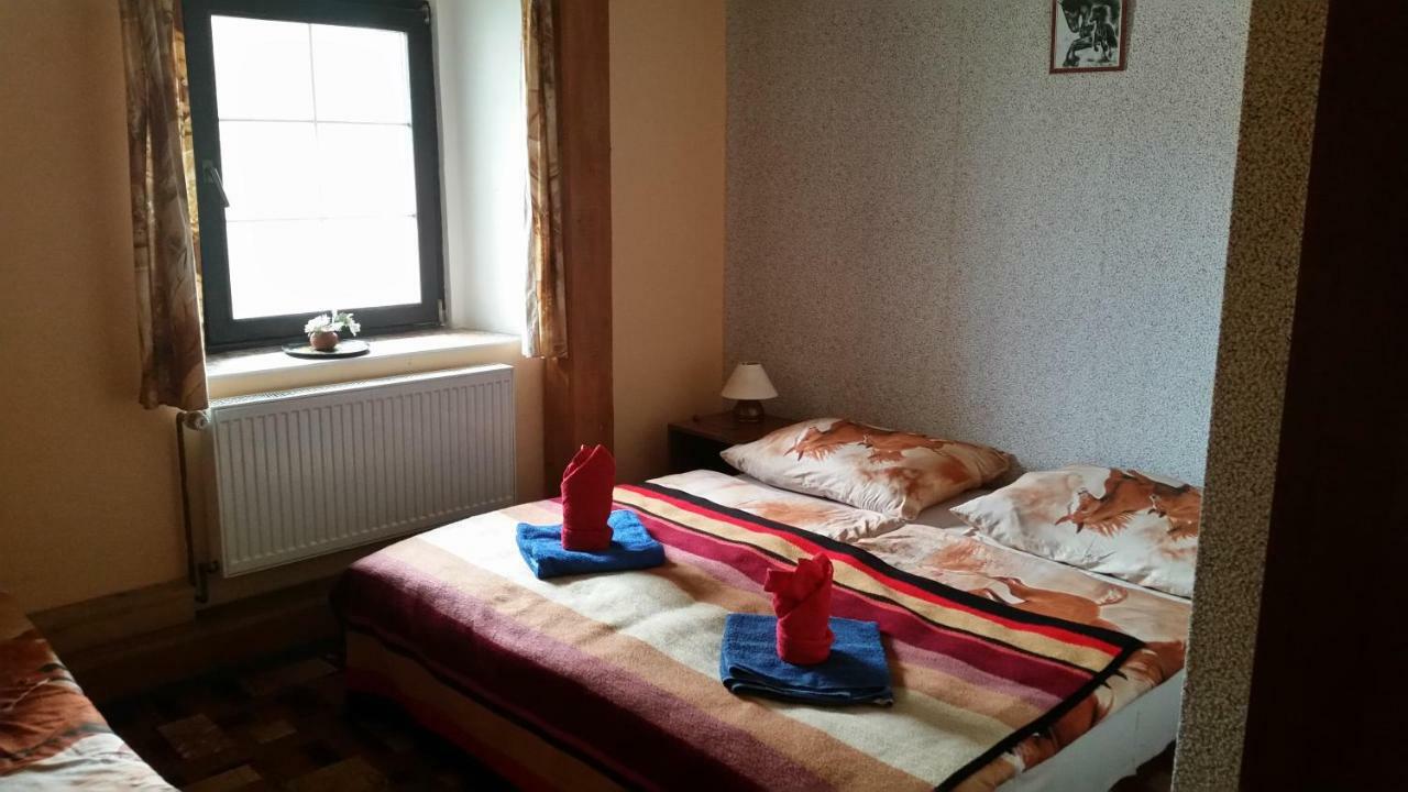 Penzion Pegas Depoltovice Nová Role Zewnętrze zdjęcie